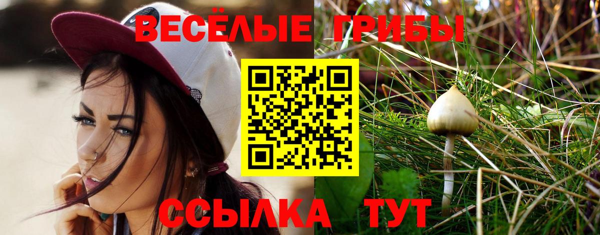 сколько стоит  Вход с VPN  Хабаровск  Галлюциногенные грибы прущие грибы 