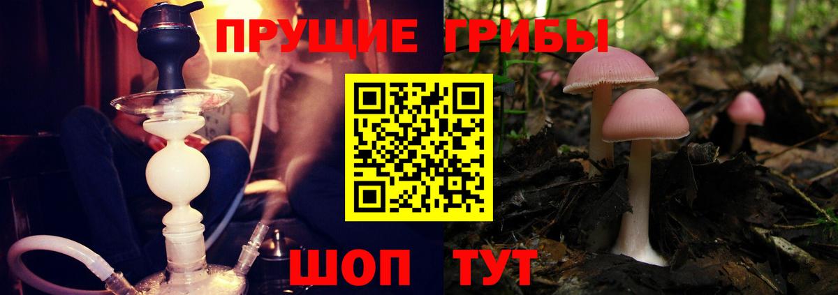 Псилоцибиновые грибы ЛСД Хабаровск